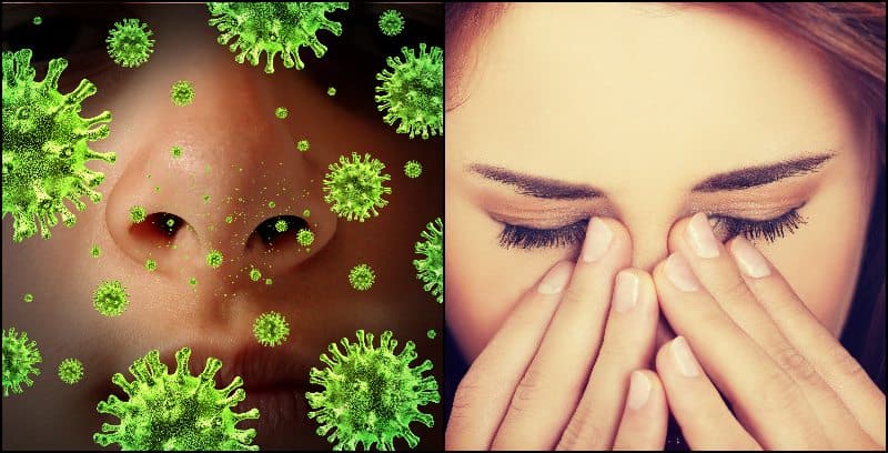 Chronic Sinusitis and Its Connection to Mold