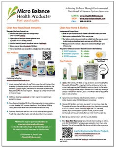 Flyer-thumbnail