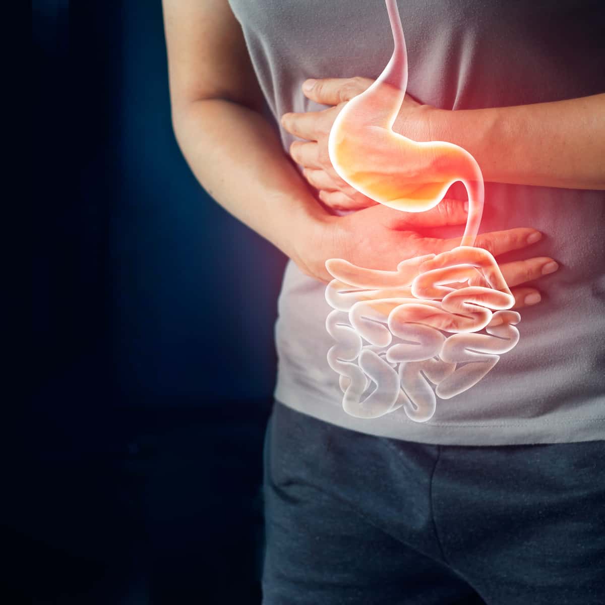 Indigestion, Maldigestion, and Nutrient Deficiencies