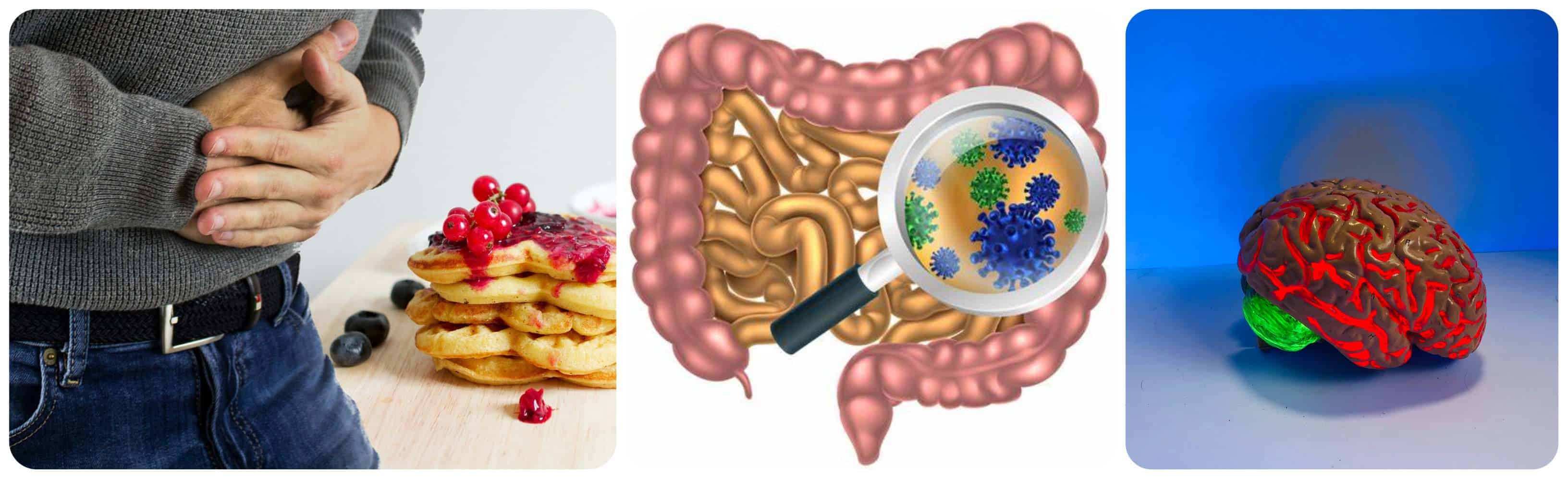 It’s a Gut Feeling! (Yes, Mold Can Do That!)