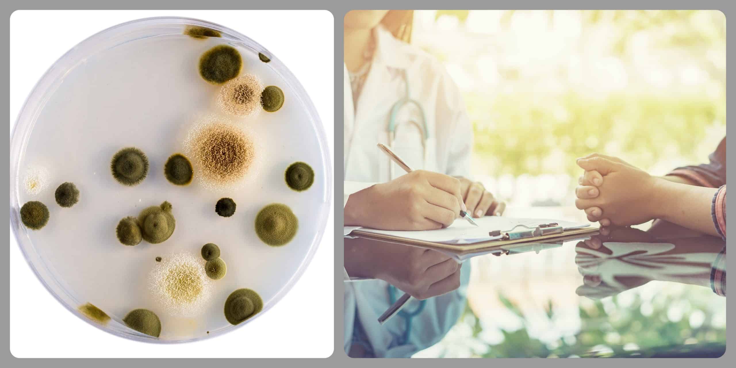 How Do I Know If It Is Mold That Is Making Me Sick?