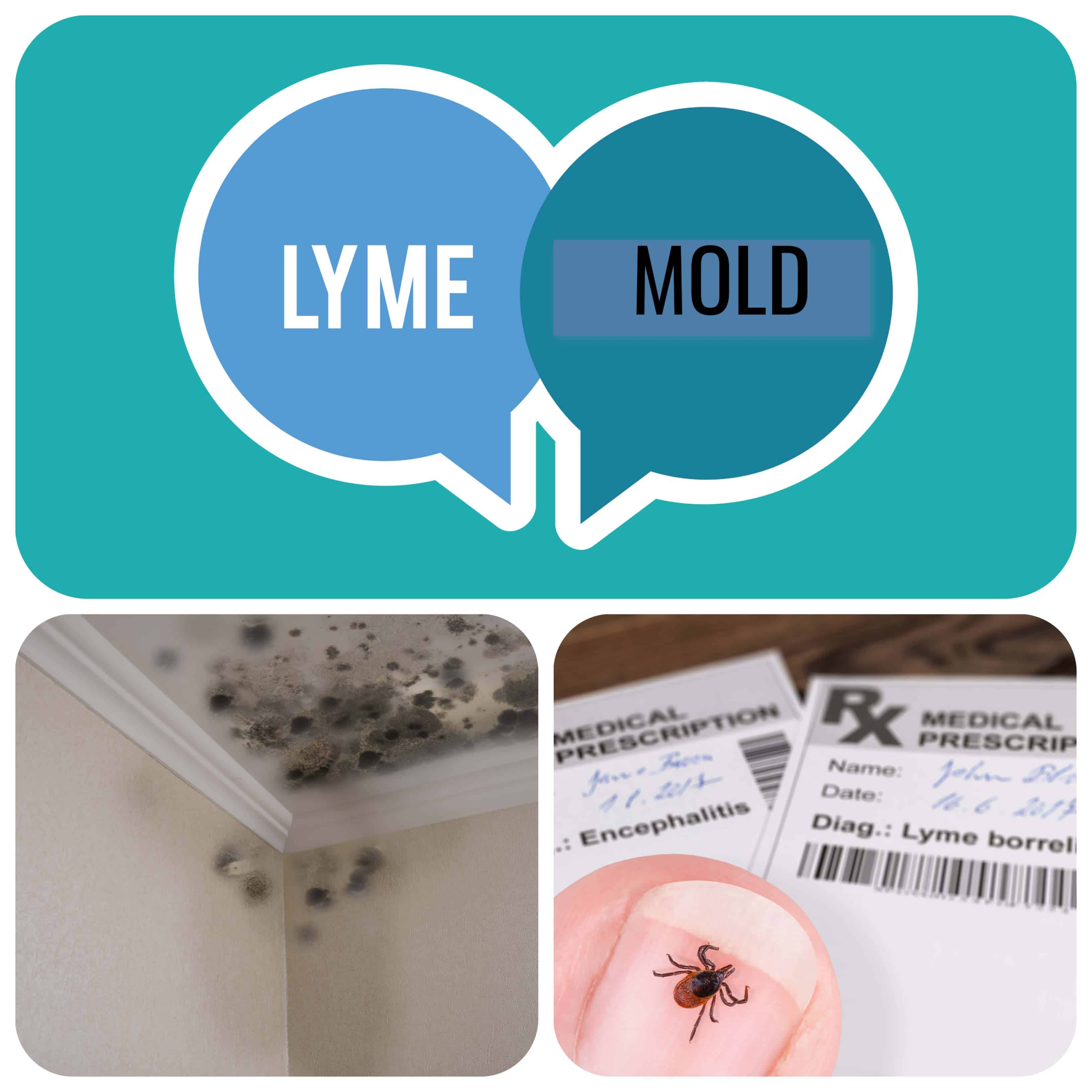 Test For Black Mold: Your Health May Depend On It - My Lyme Doc
