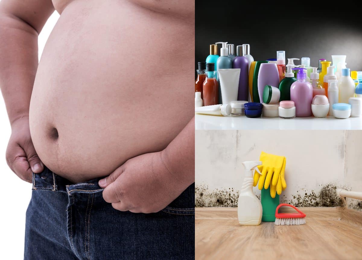 Are Obesogenic Toxins Making Us Fat?